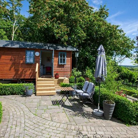 Hawthorn Hut Kilkenny Glamping At Jenkinstown House Hotel Jenkinstown Park Ngoại thất bức ảnh