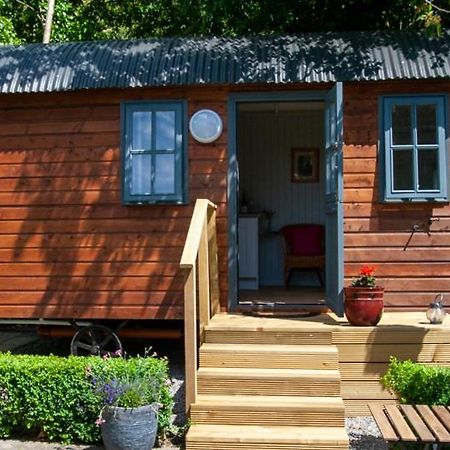 Hawthorn Hut Kilkenny Glamping At Jenkinstown House Hotel Jenkinstown Park Ngoại thất bức ảnh